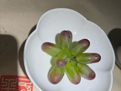 -青玉案·生日宴·纪念日·家宴主题餐厅(太湖西路店)