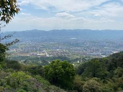 -缙云山景区