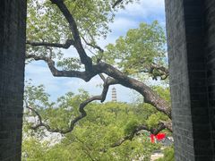 -江心屿景区