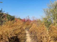 -北京西山国家森林公园