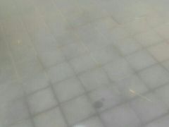 -枣庄辣子鸡(辽阳西路店)