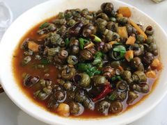 -大树下饭店(春晓镇慈岙社区卫生服务站南)