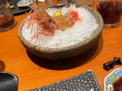 -月龍吟(朝龙汇店)
