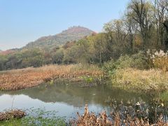 -西湖风景区-江洋畈生态公园