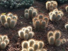 -北京植物园-展览温室