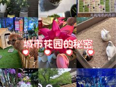 -瑞虹新天地月亮湾
