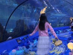 -重庆欢乐海底世界