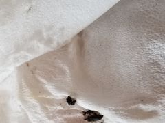 -呼市烧麦羊杂(幸福路店)