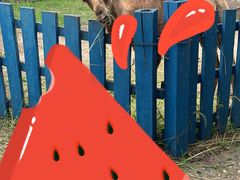 -哈尔滨北方森林动物园