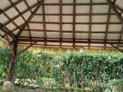 -森波拉火山温泉