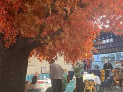 -雲蜀龙阁·金牌水煮鱼(方庄店)