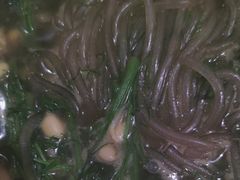 -同乐馆(阳光店)