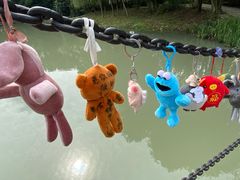 -成都中医药大学(温江校区)