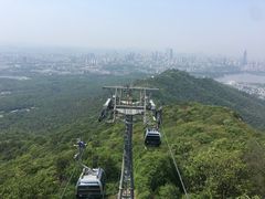 -紫金山山顶公园