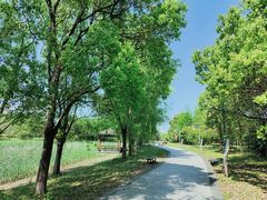 -同里国家湿地公园
