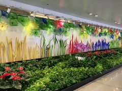 -杭州萧山国际机场