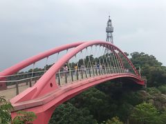 -金鸡山公园