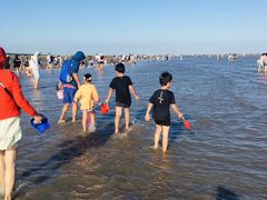 -南汇嘴观海公园