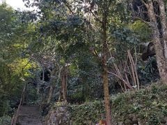 -安溪清水岩