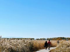-野鸭湖国家湿地公园