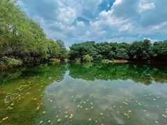 -洋湖国家湿地公园
