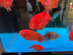 -钳小厨疯味1987肉蟹煲(美一城广场店)