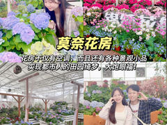 -盈香心动乐园