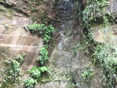 -川西竹海景区
