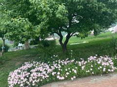 -圣露庄园·亲子活动乐园·露营·团建婚礼
