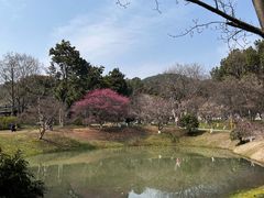 -杭州植物园