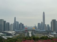 -荔枝公园-小平画像广场