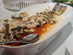 石斑鱼-胶东人家(奥体中心店)