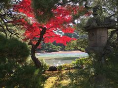 -京都御所