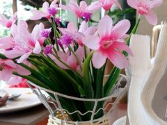picture-科尔海悦酒店·柏顿花园餐厅(清河东路店)