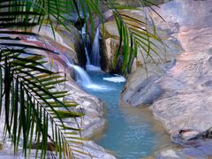 -广州白江湖森林公园