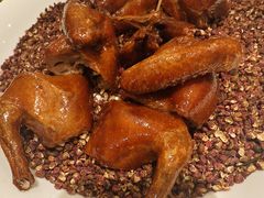 -朱记乳鸽王·非遗石岐乳鸽·全鸽宴(大兴旗舰店)