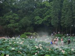 -广州莲花山旅游区