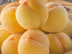 -柯剑飞超级水果批发中心(东港店)