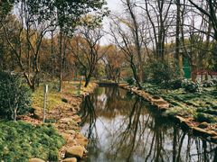 -上海共青森林公园