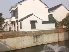 -树山生态村
