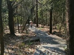 -紫金山索道-售票处