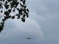 -空港花田景区
