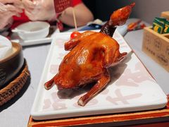-大鸽饭(体育西路店)