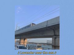 -海堤纪念公园