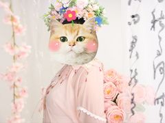 -猫遇摄影工作室