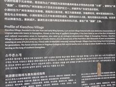 -小洲村