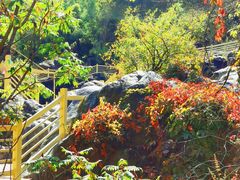 -百里山水画廊乌龙峡谷