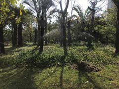 -金鸡岭桥头公园