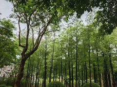 -晓港公园