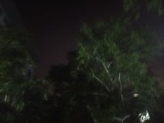 -山东大学(千佛山校区)